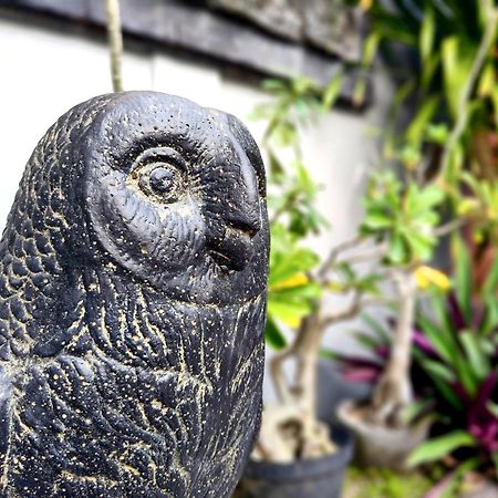 Panda Lumbung Bed & Breakfast Sanur  Bagian luar foto