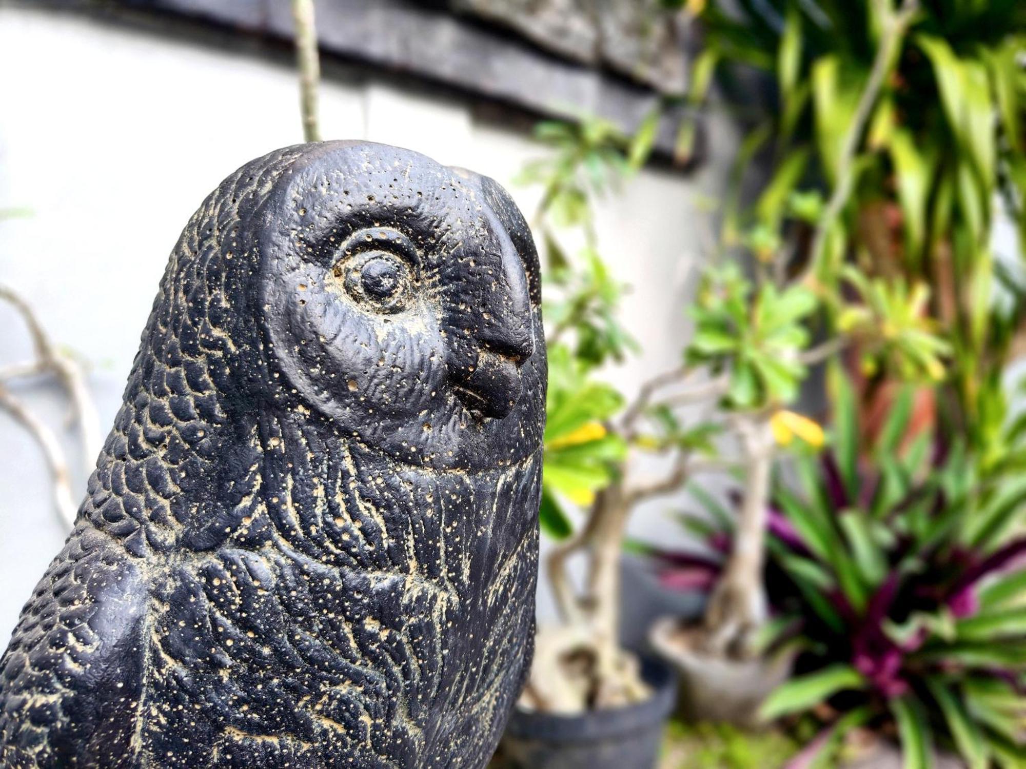 Panda Lumbung Bed & Breakfast Sanur  Bagian luar foto