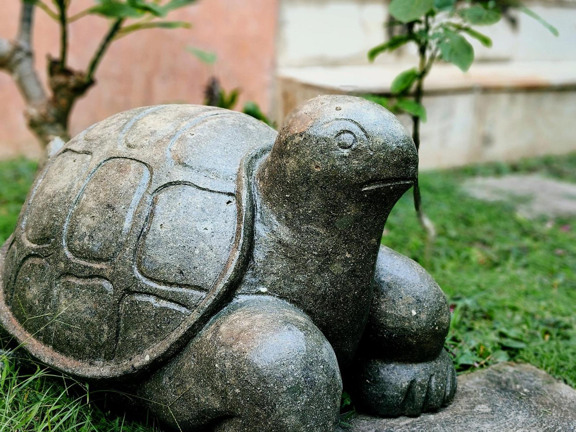 Panda Lumbung Bed & Breakfast Sanur  Bagian luar foto
